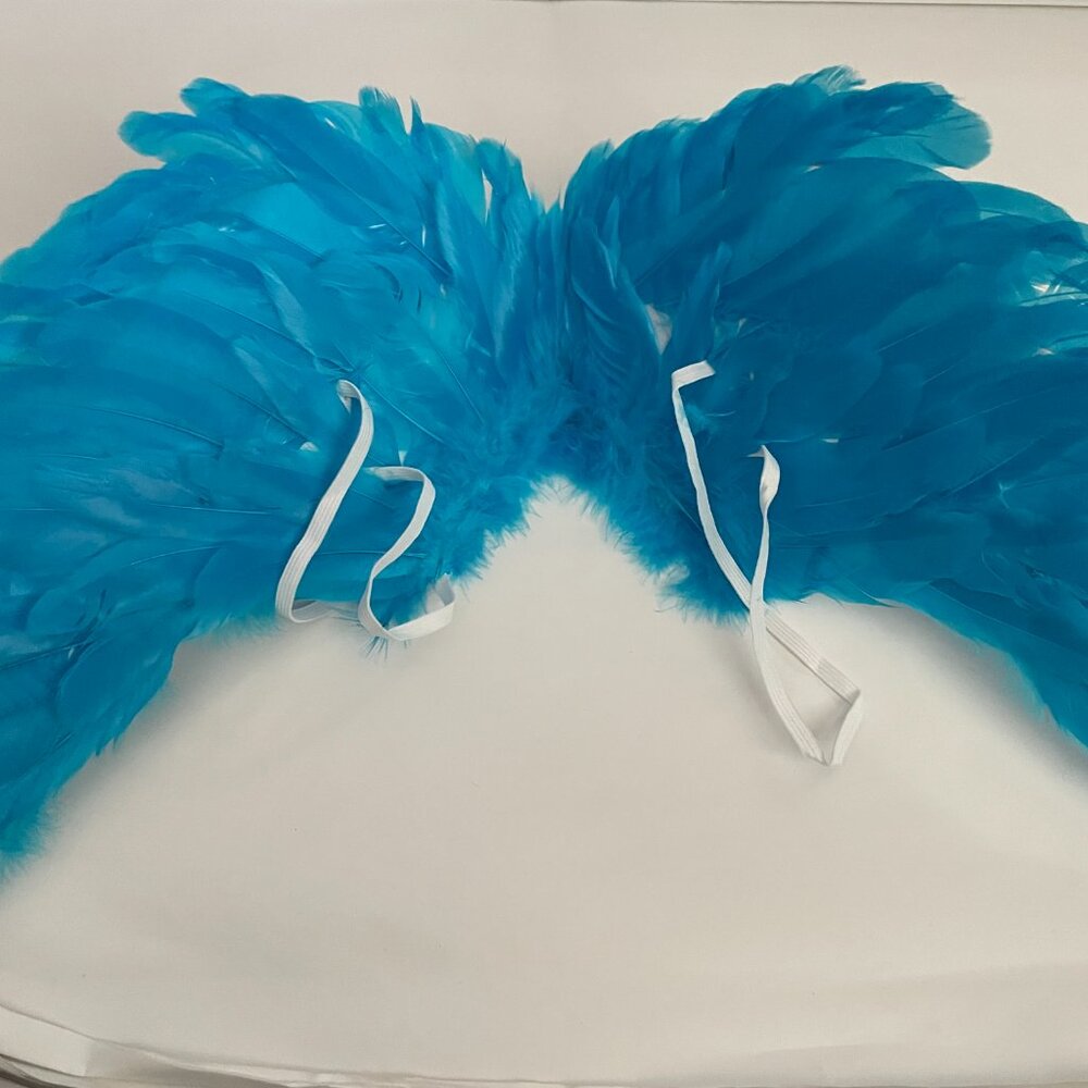 Turquoise Feather Angel Wings Costume